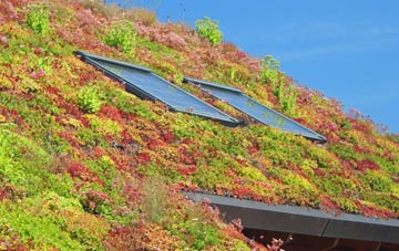 Mabledon living roof systems